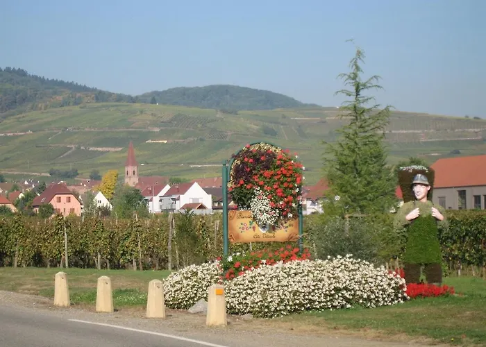 Appartement Au Petit Bonheur Wettolsheim
