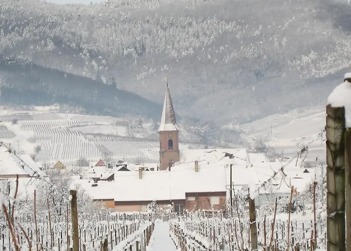 Au Petit Bonheur * Wettolsheim