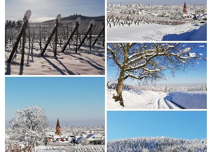 Appartement Au Petit Bonheur *